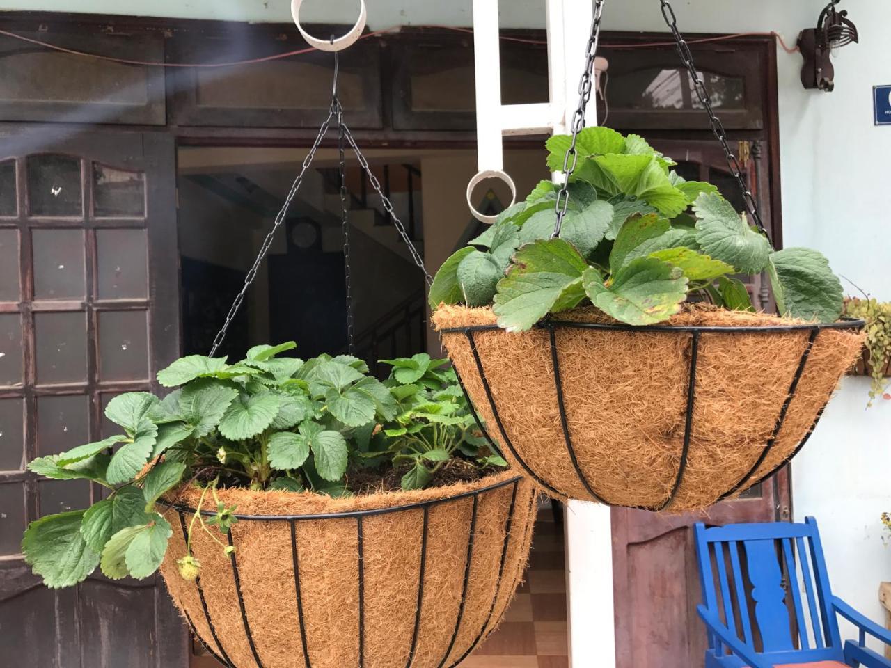 Dalat Coffee House Homestay Exterior foto